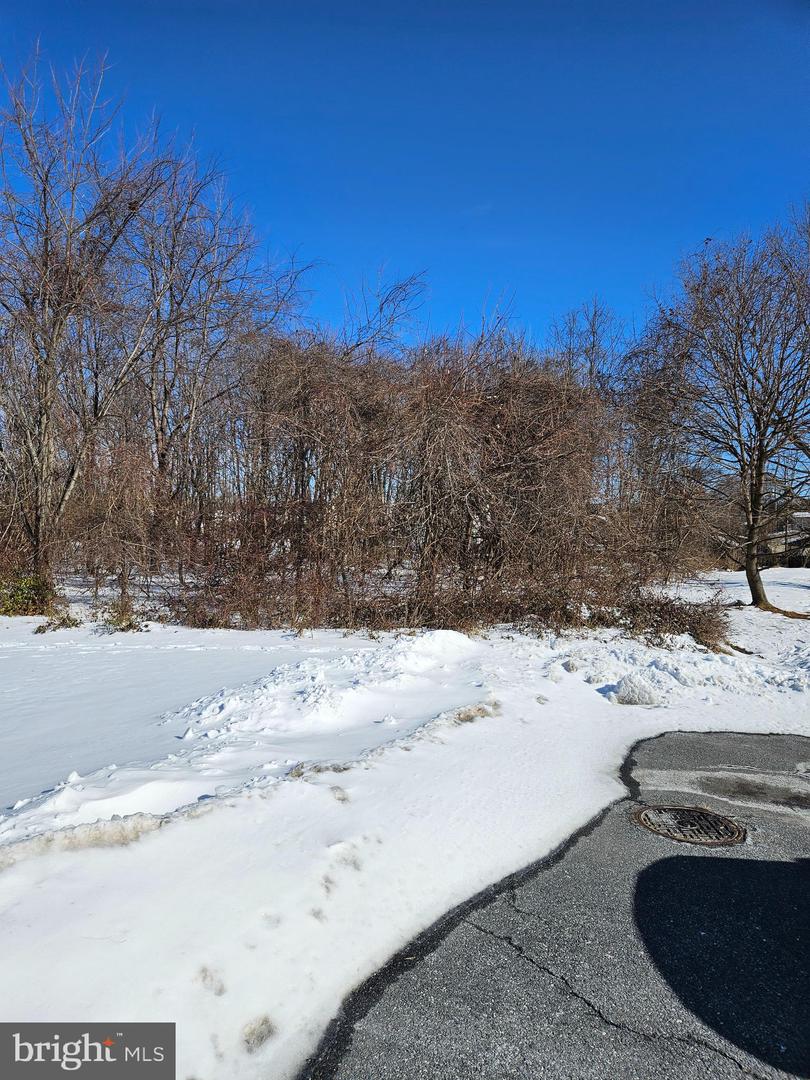 0 Sandy Spring Lane Sandy Spring Ln Property Photo 2