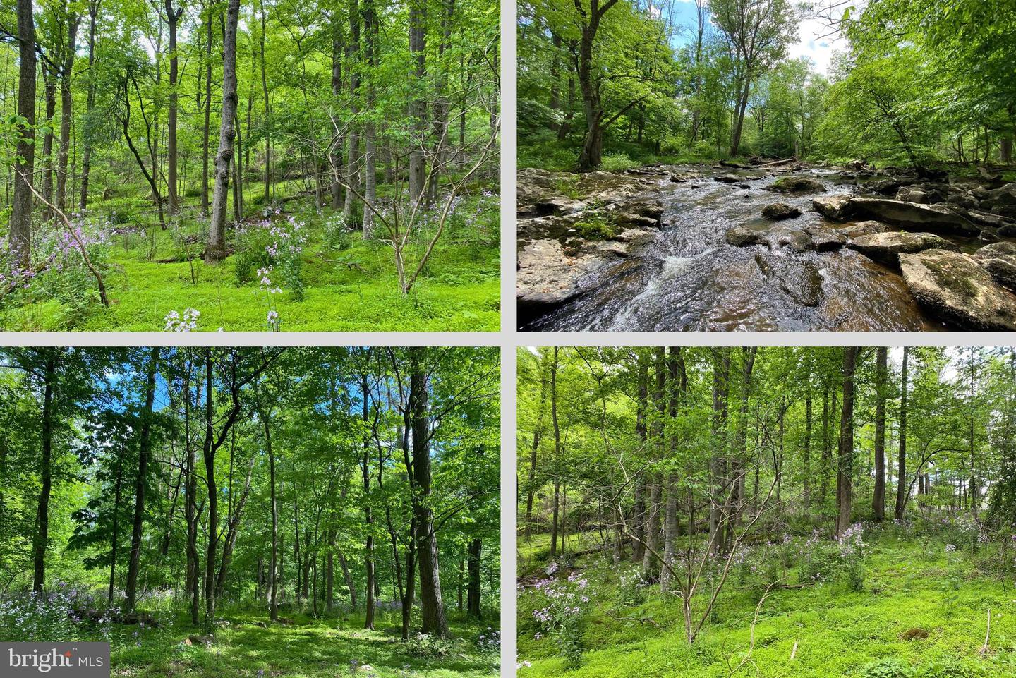 12509 Stottlemyer Rd Property Photo