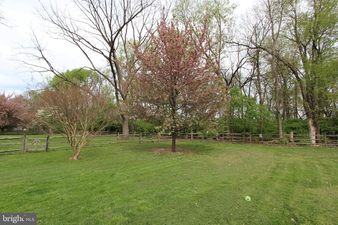 7917 Runnymeade Dr Property Photo 69