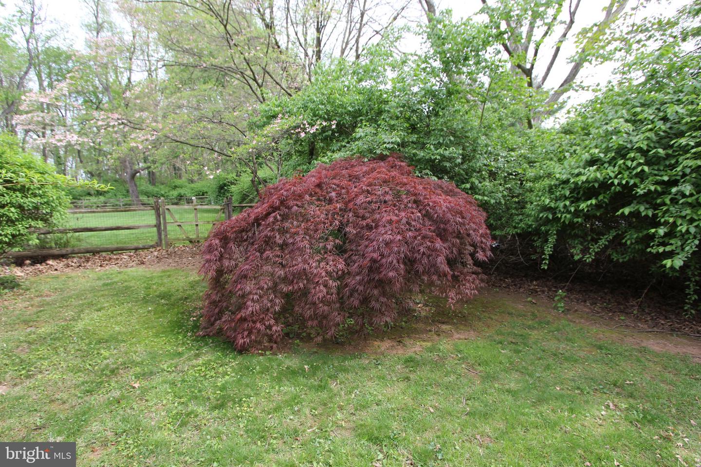 7917 Runnymeade Dr Property Photo 72
