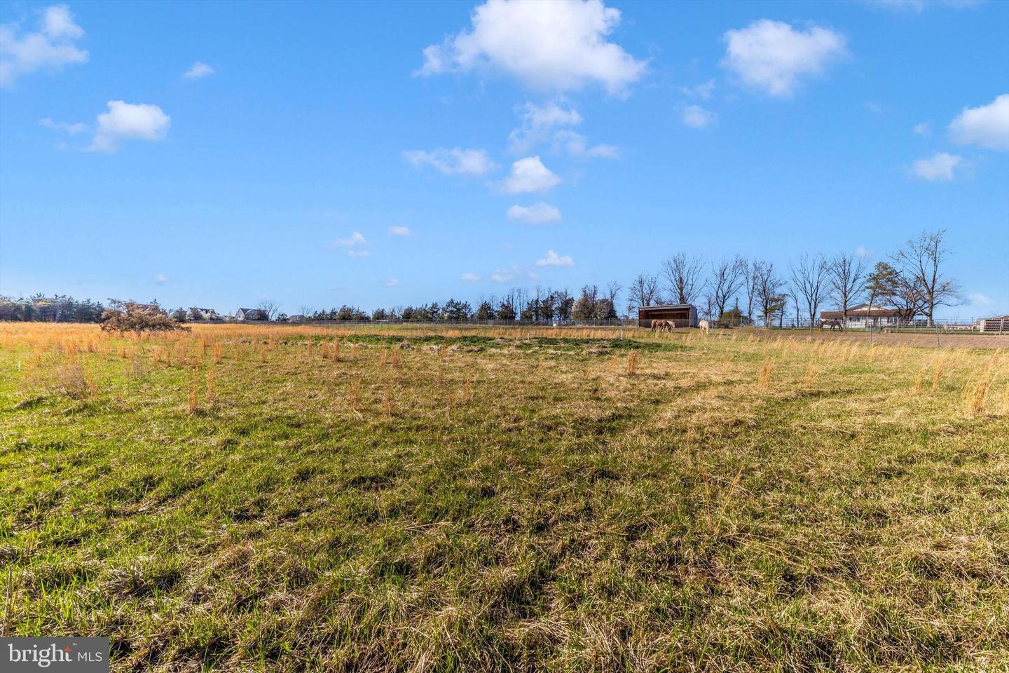 17449 Irishtown Rd Property Photo 65