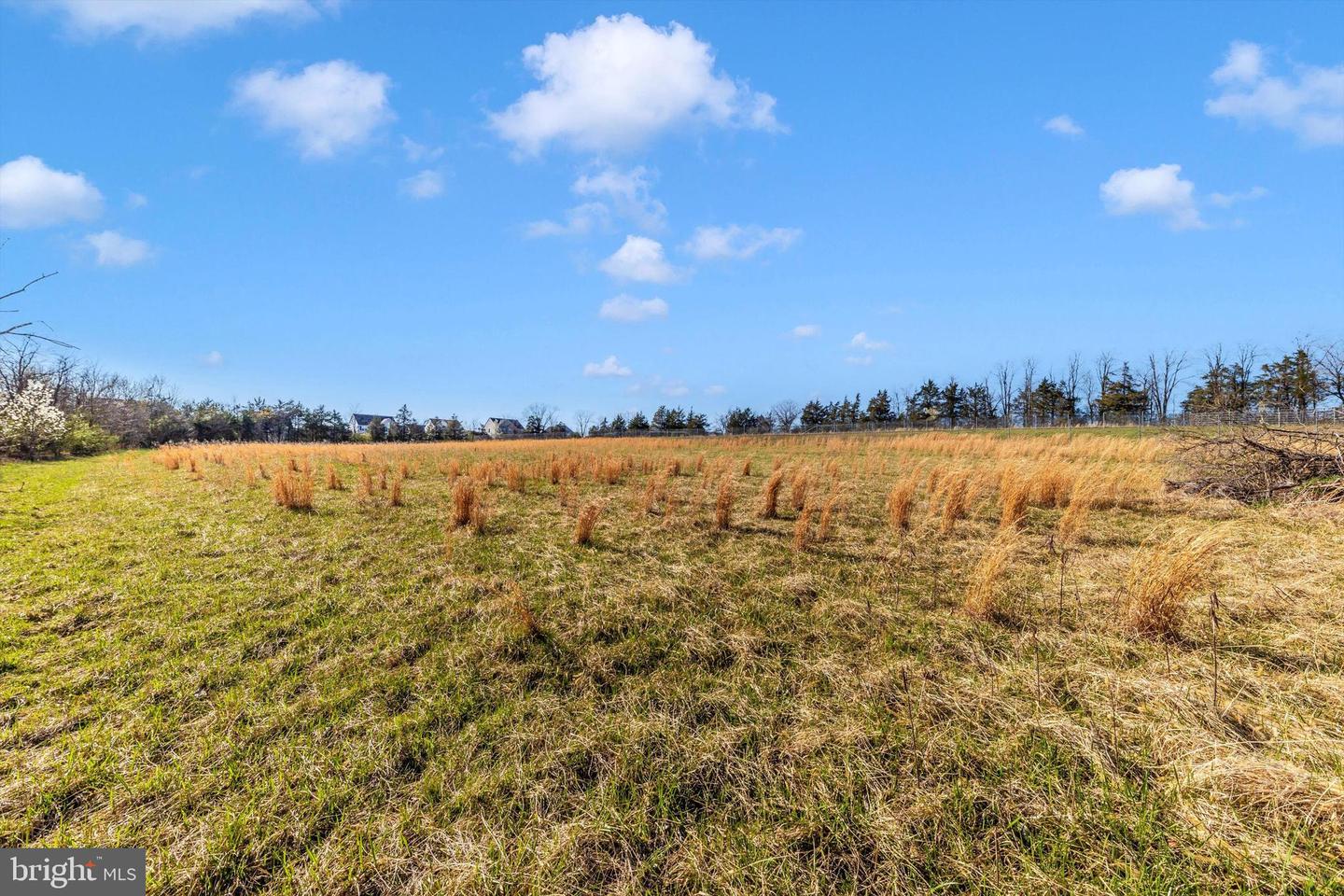 17449 Irishtown Rd Property Photo 66