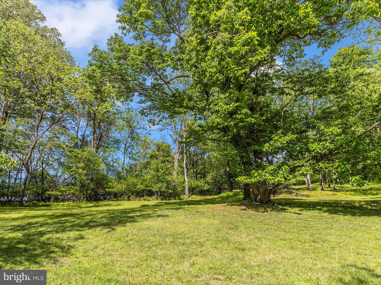 10433 Grindstone Run Rd Property Photo 37