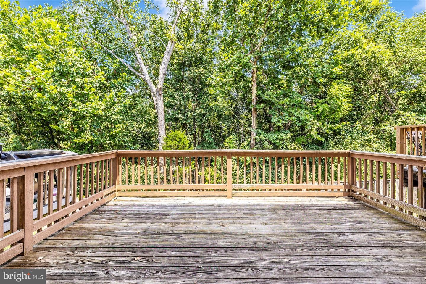 5655 Tessie Ct Property Photo 3
