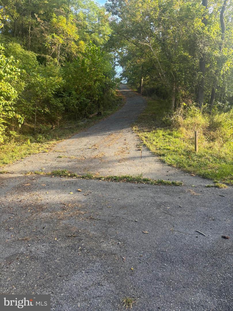 Lot 2 Wolfsville Rd Property Photo 1