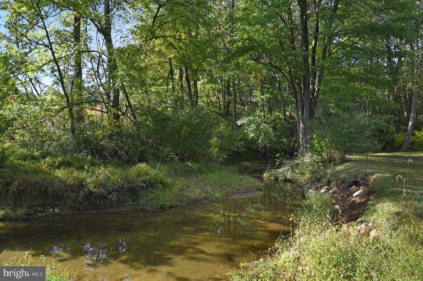 1402 Thurston Rd Property Photo 4