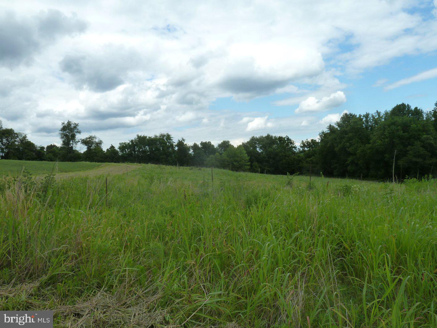 0 Park Mills Rd Property Photo 16