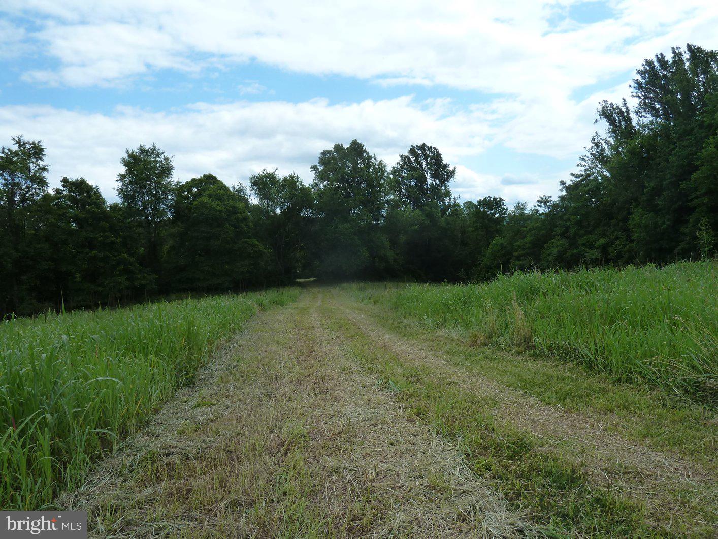 0 Park Mills Rd Property Photo 17