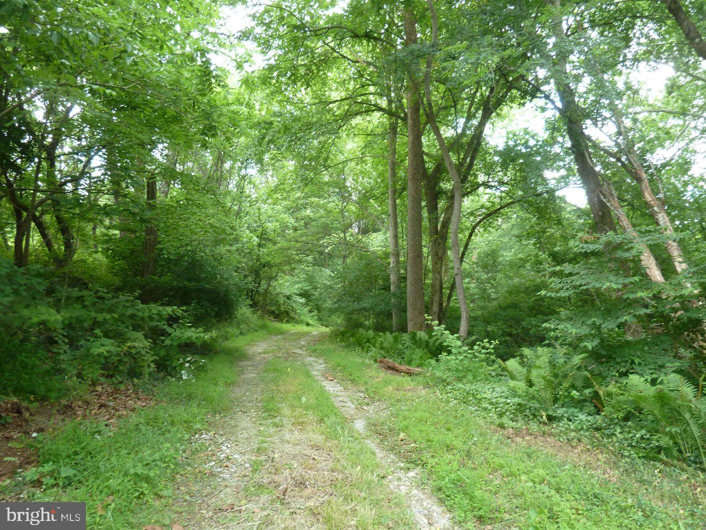 0 Park Mills Rd Property Photo 24