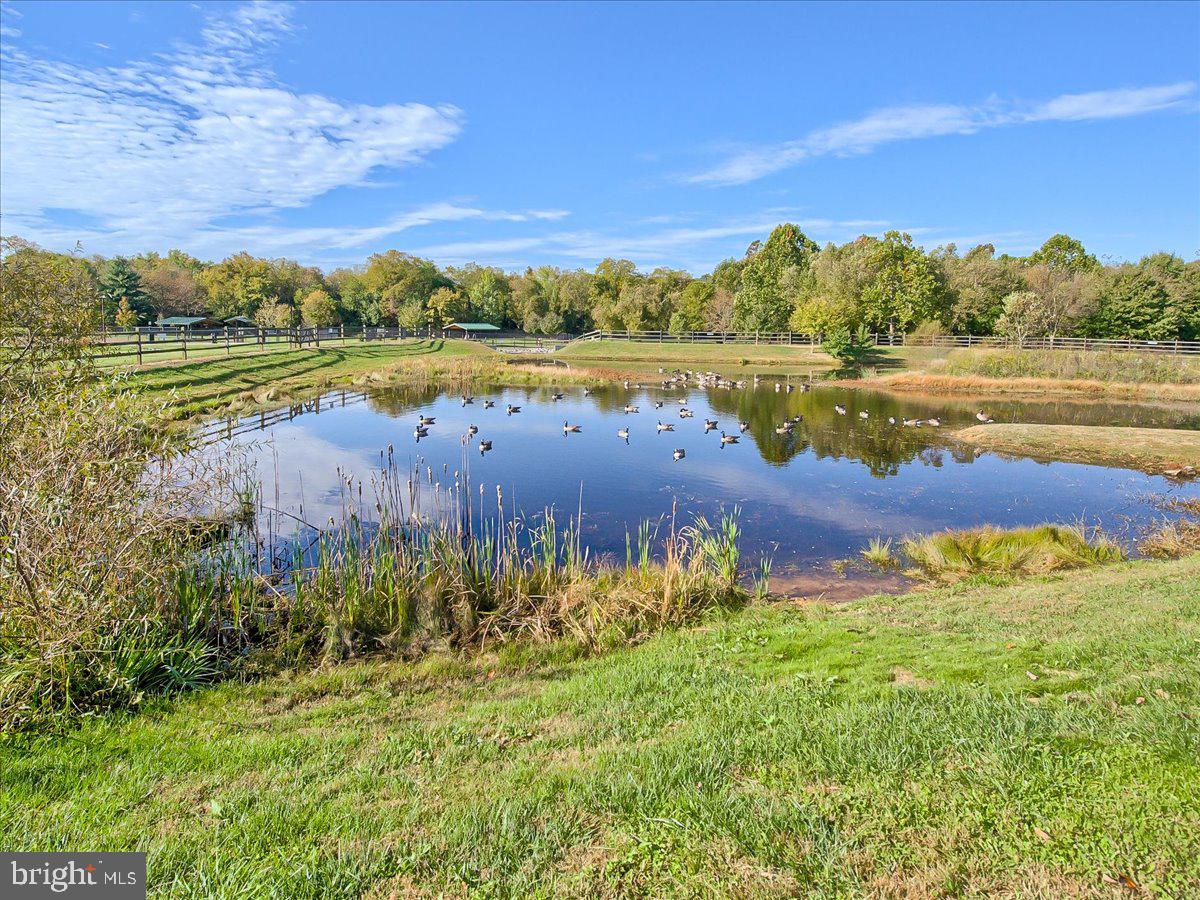 595 Cawley Dr #4 3c Property Photo 34