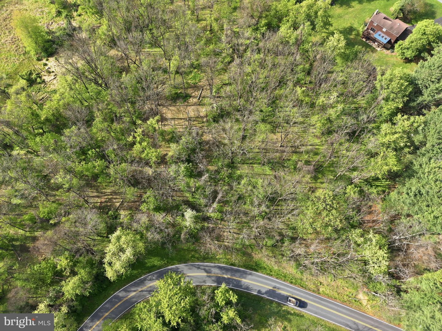 Detrick Rd #lot 19c Property Photo 11