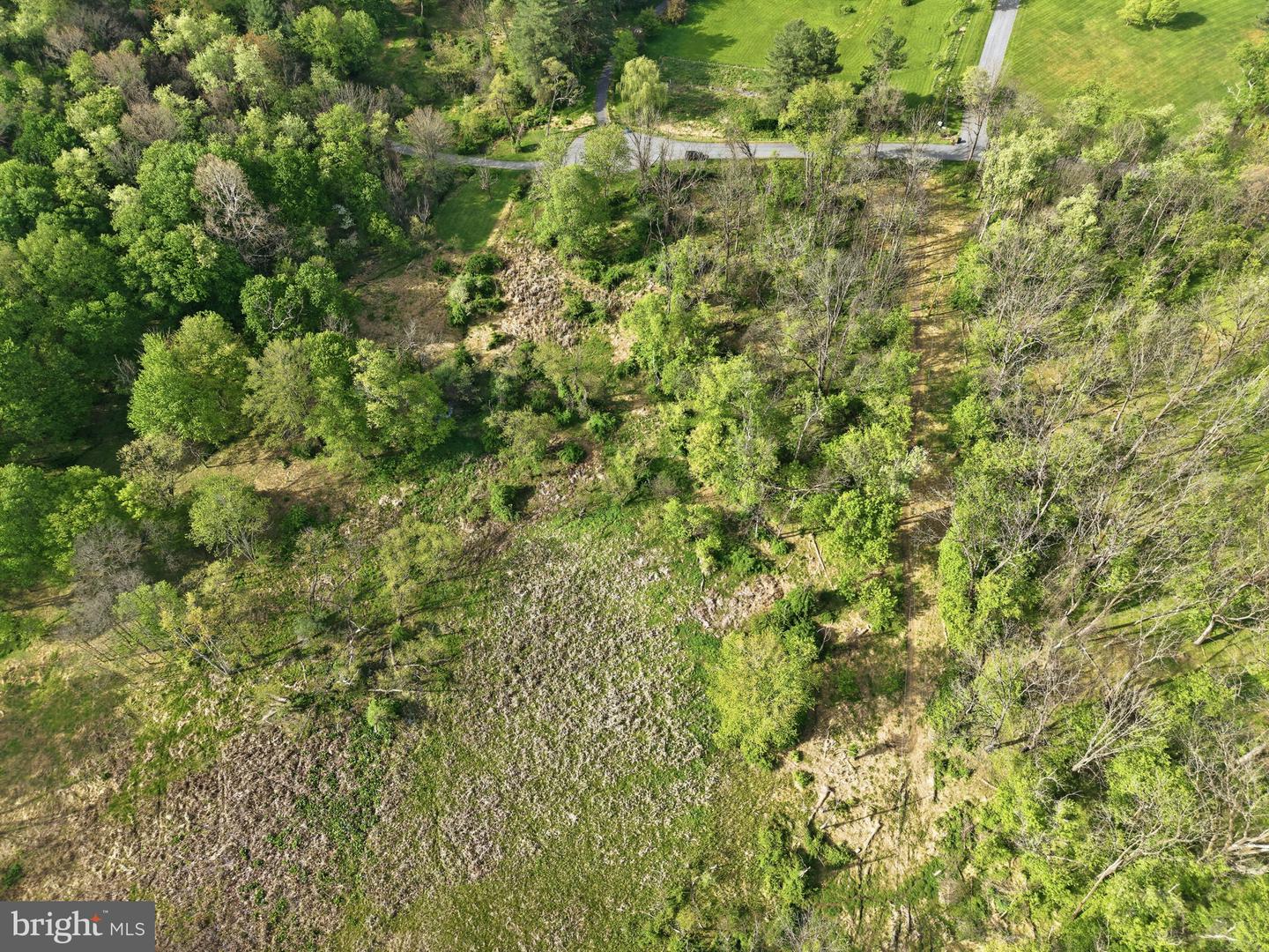 Detrick Rd #lot 19c Property Photo 12