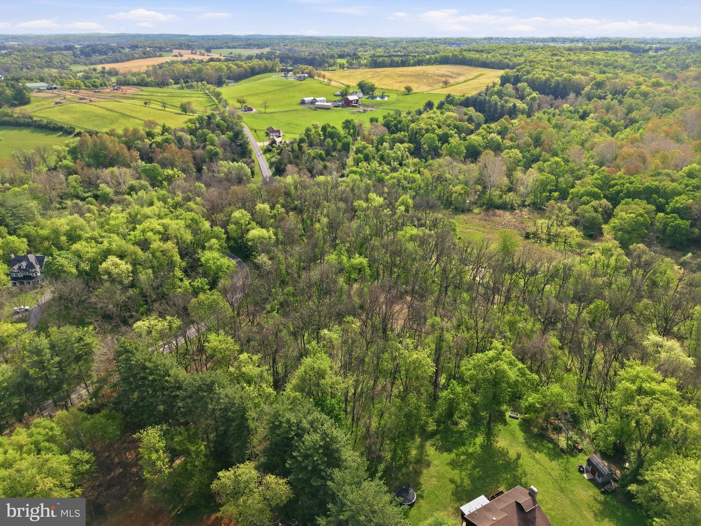 Detrick Rd #lot 19c Property Photo 13