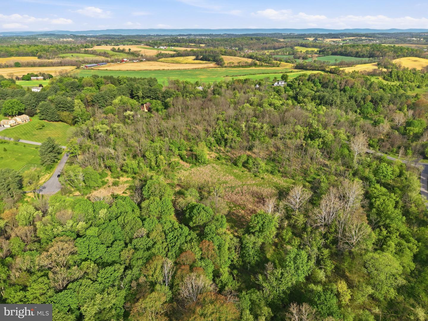 Detrick Rd #lot 19c Property Photo 14