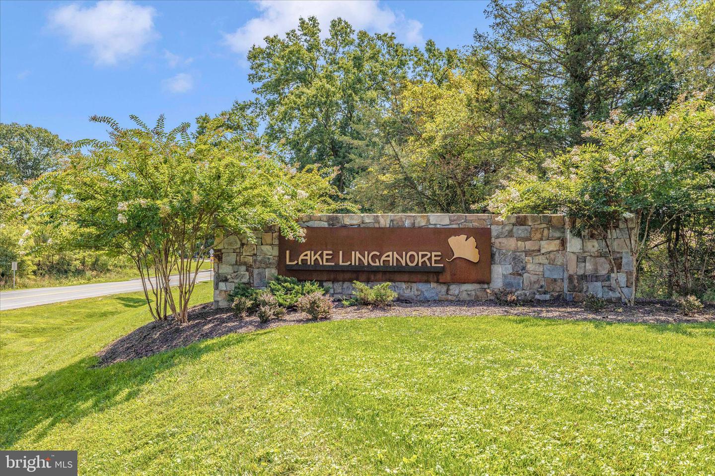 6819 Rehnquist Ct Property Photo 61