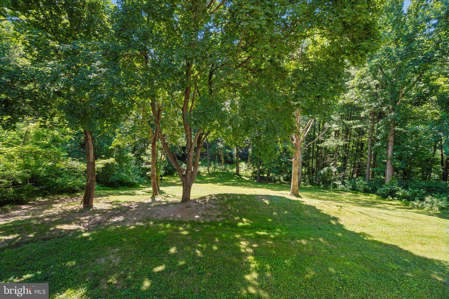 4985 Linganore View Dr Property Photo 49