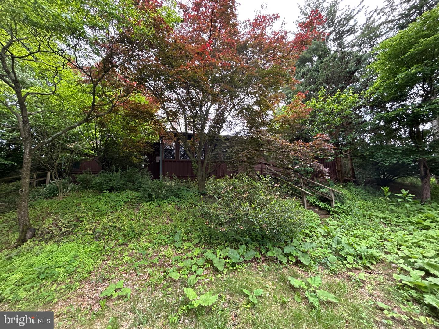 17233 Mountain View Rd Property Photo 15