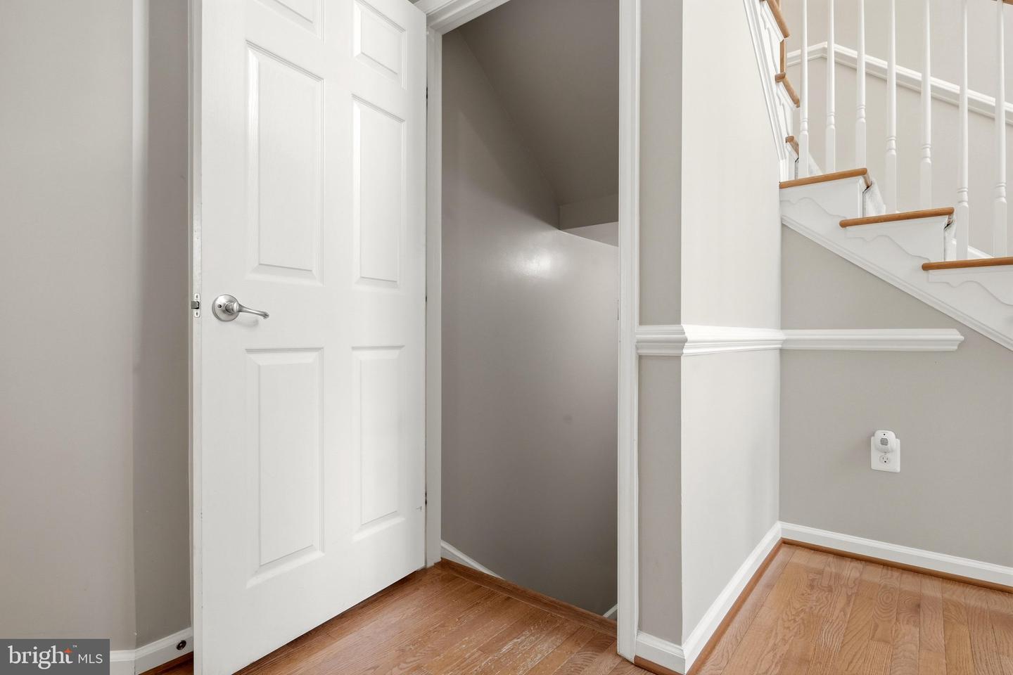 1302 Moore Spring Ct Property Photo 52