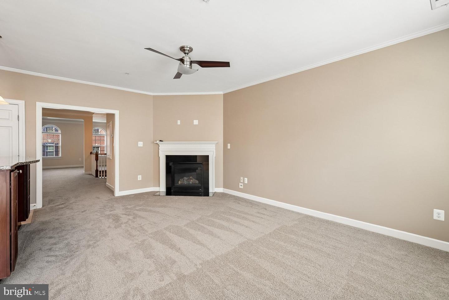 3615 Spring Hollow Ln #3615 Property Photo 10