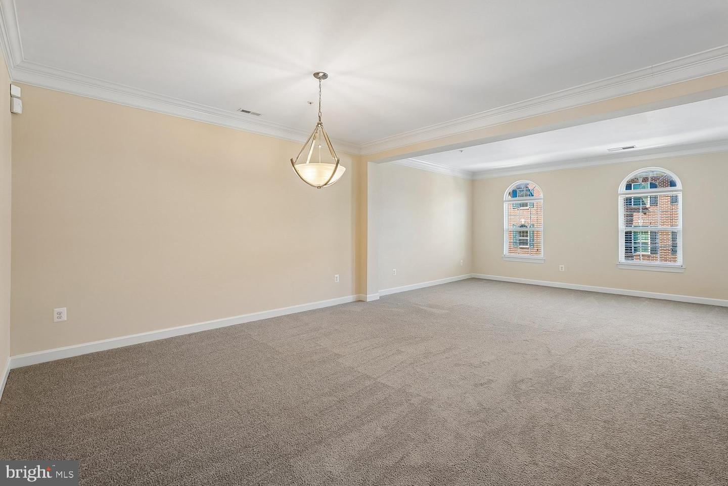 3615 Spring Hollow Ln #3615 Property Photo 21