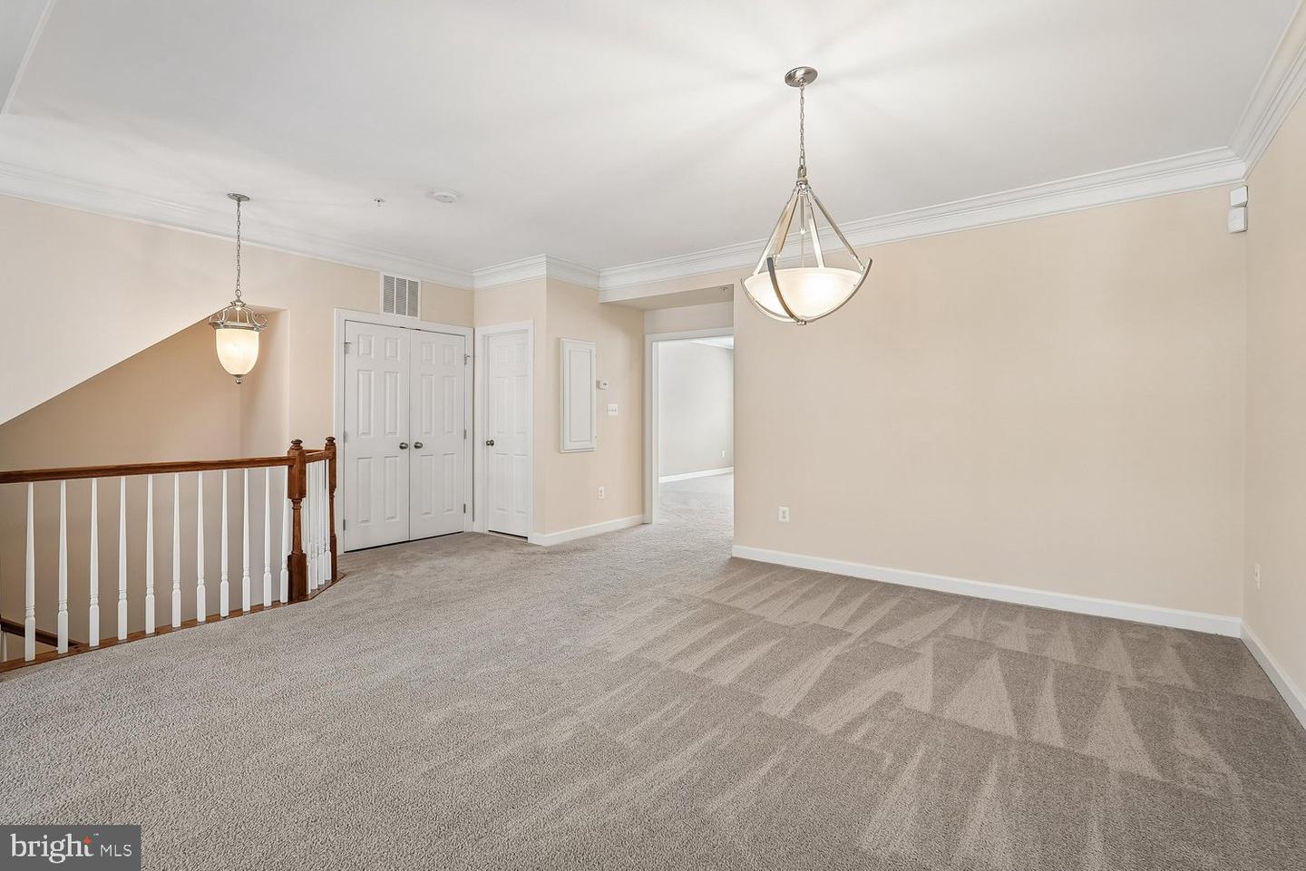 3615 Spring Hollow Ln #3615 Property Photo 23