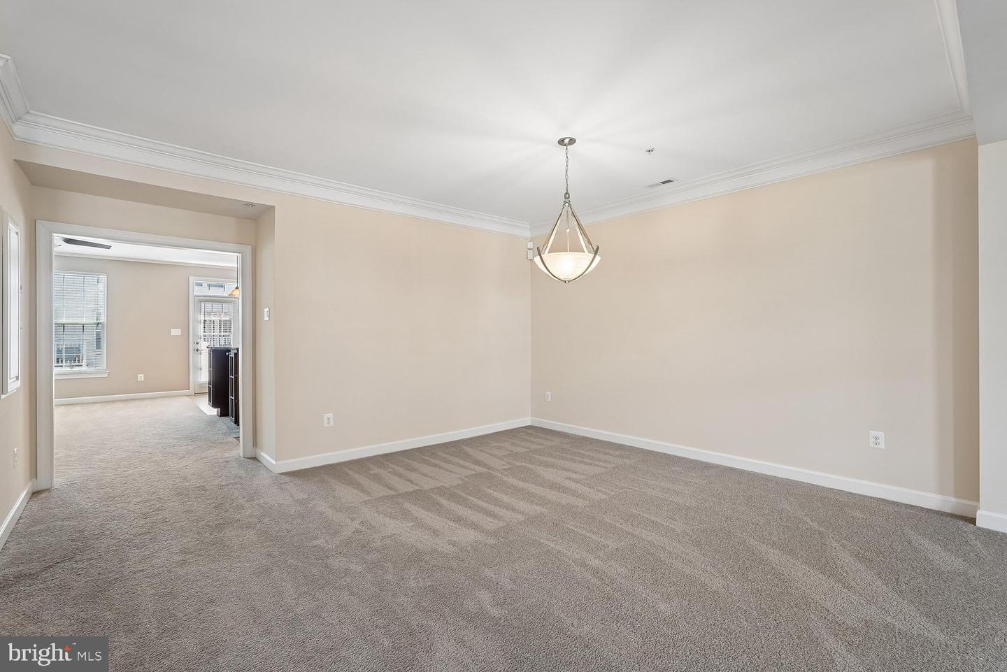 3615 Spring Hollow Ln #3615 Property Photo 24