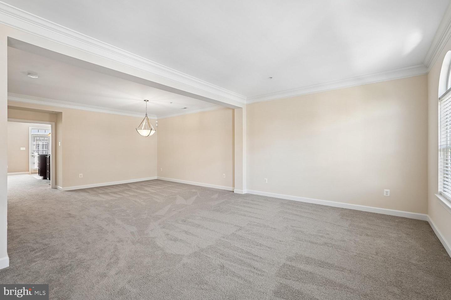 3615 Spring Hollow Ln #3615 Property Photo 28