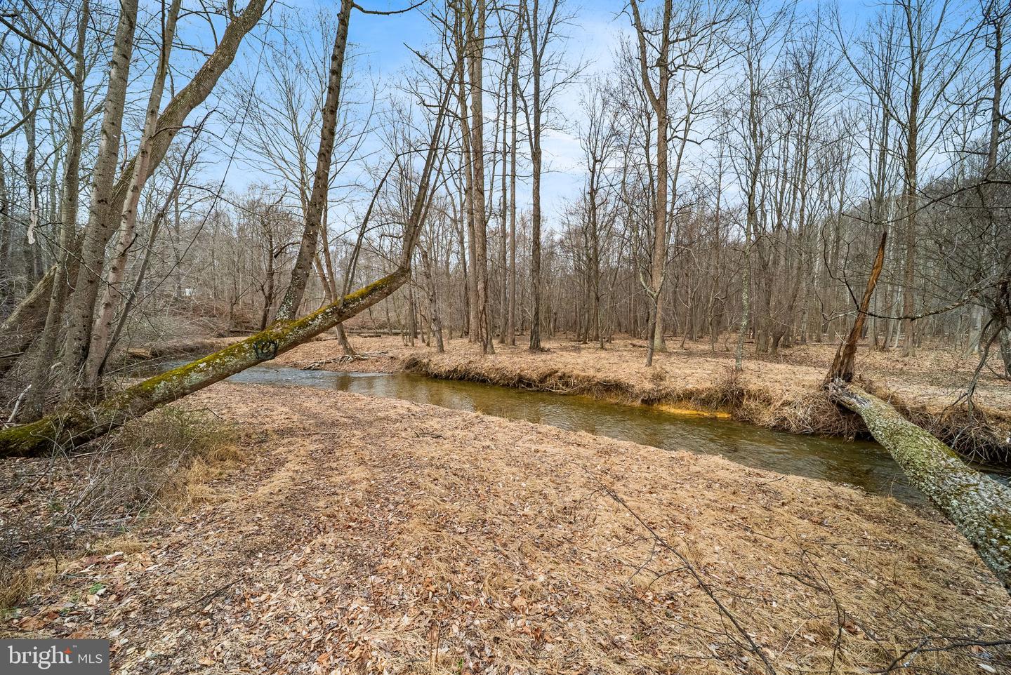 2420 Prices Distillery Rd Property Photo 4