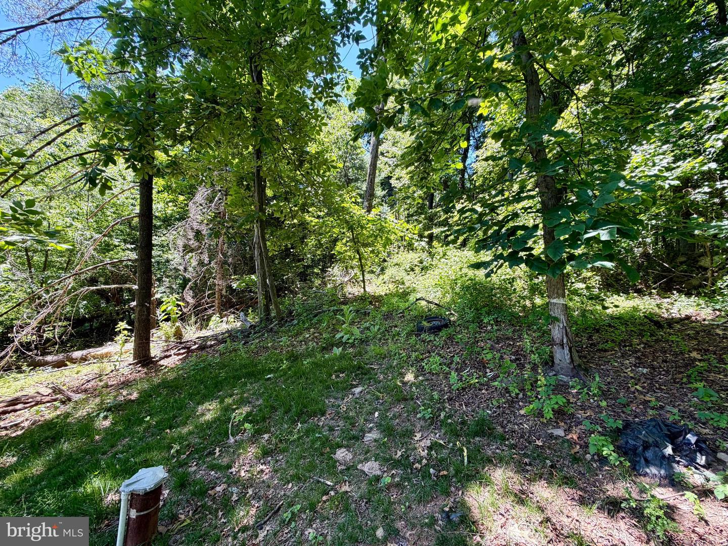 10121 Putman Rd Property Photo 19