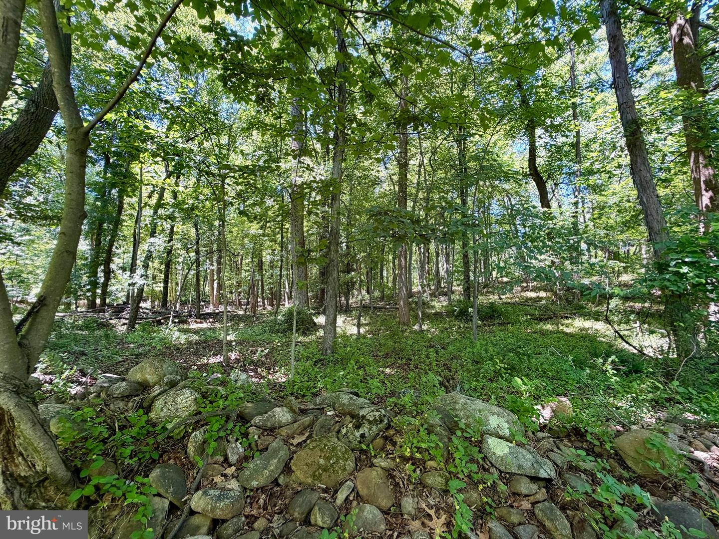 10121 Putman Rd Property Photo 20
