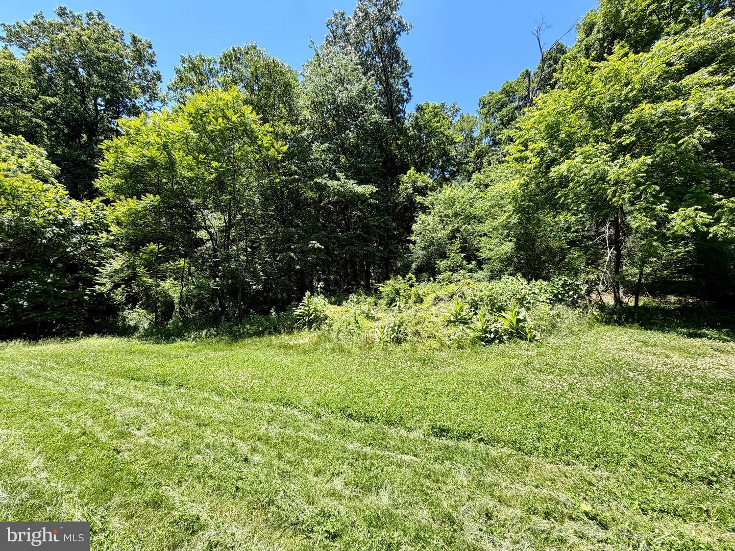 10121 Putman Rd Property Photo 21