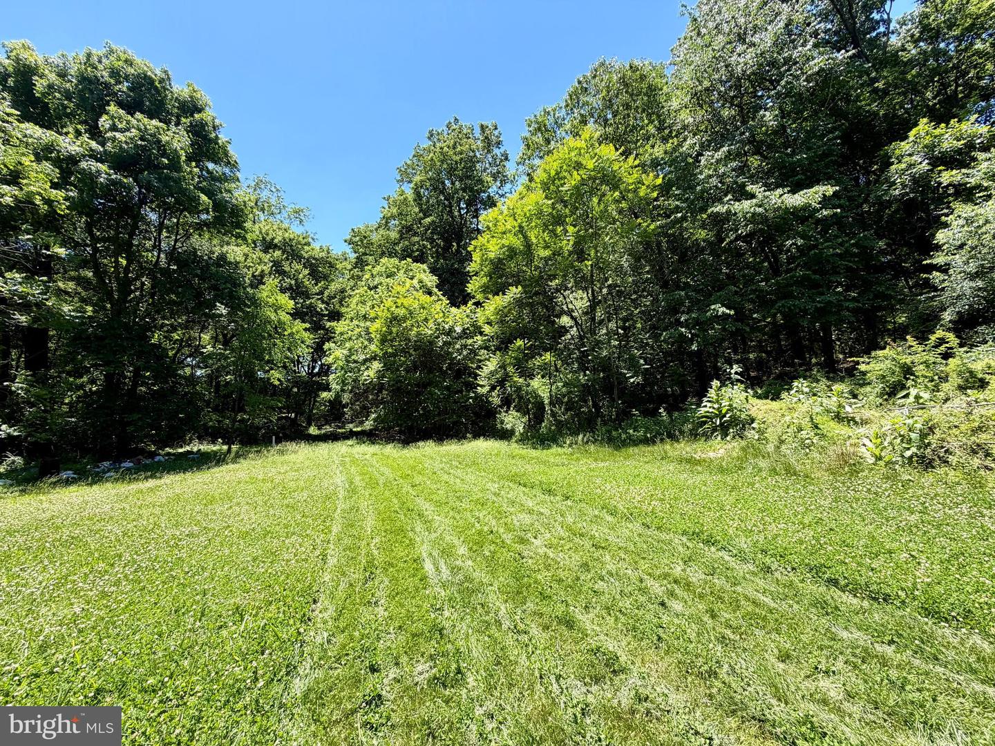 10121 Putman Rd Property Photo 22