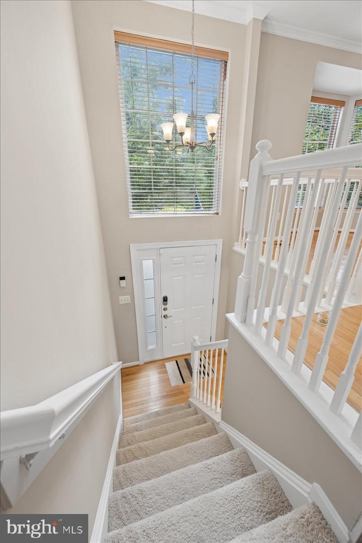 3611 Hope Commons Ct Property Photo 3