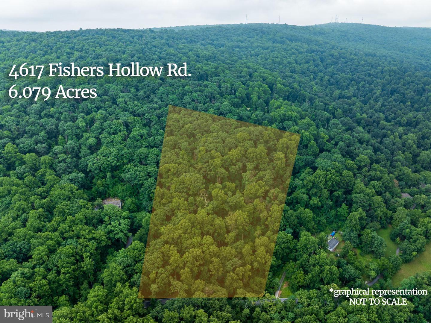 4617 Fishers Hollow Rd Property Photo 3