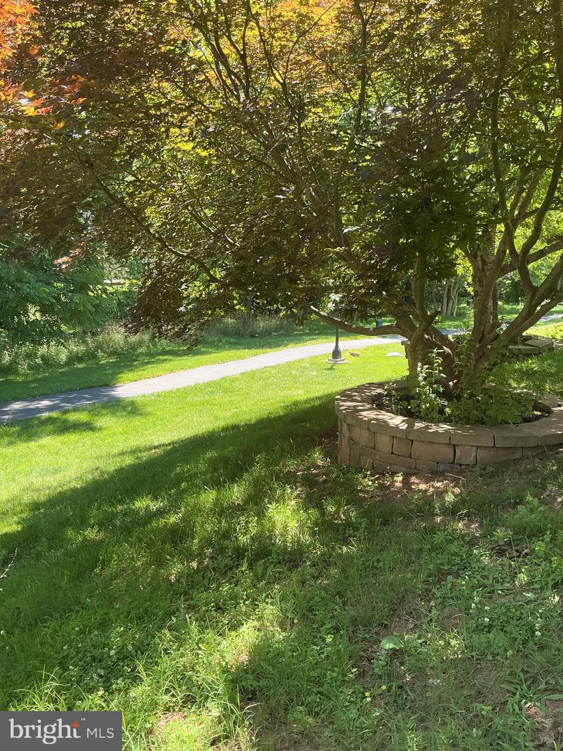 523 Ellison Ct Property Photo 63