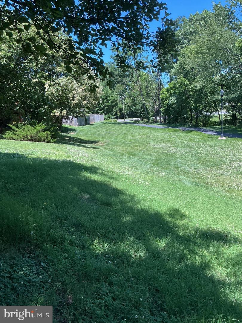 523 Ellison Ct Property Photo 64