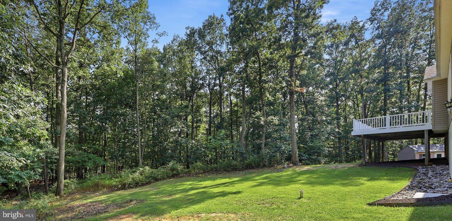 10029 Pine Tree Rd Property Photo 46