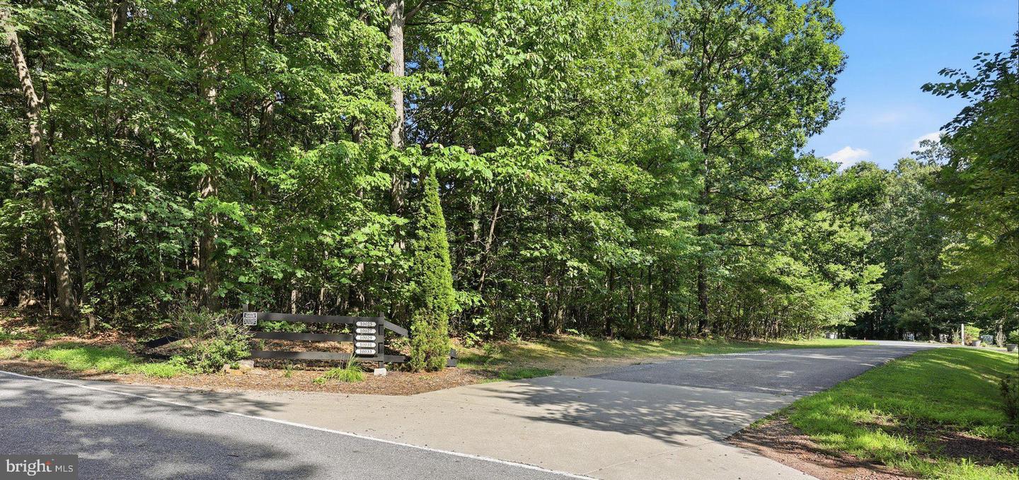 10029 Pine Tree Rd Property Photo 48