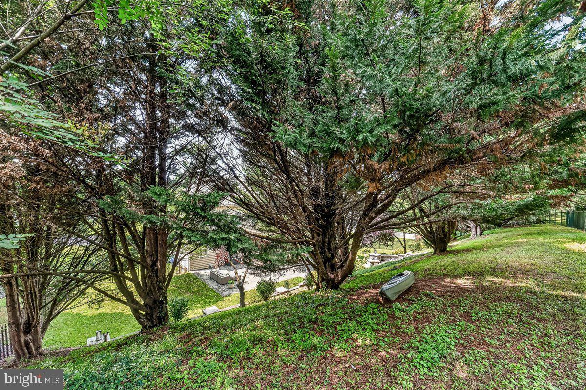 11204 Yardley Pl E Property Photo 55