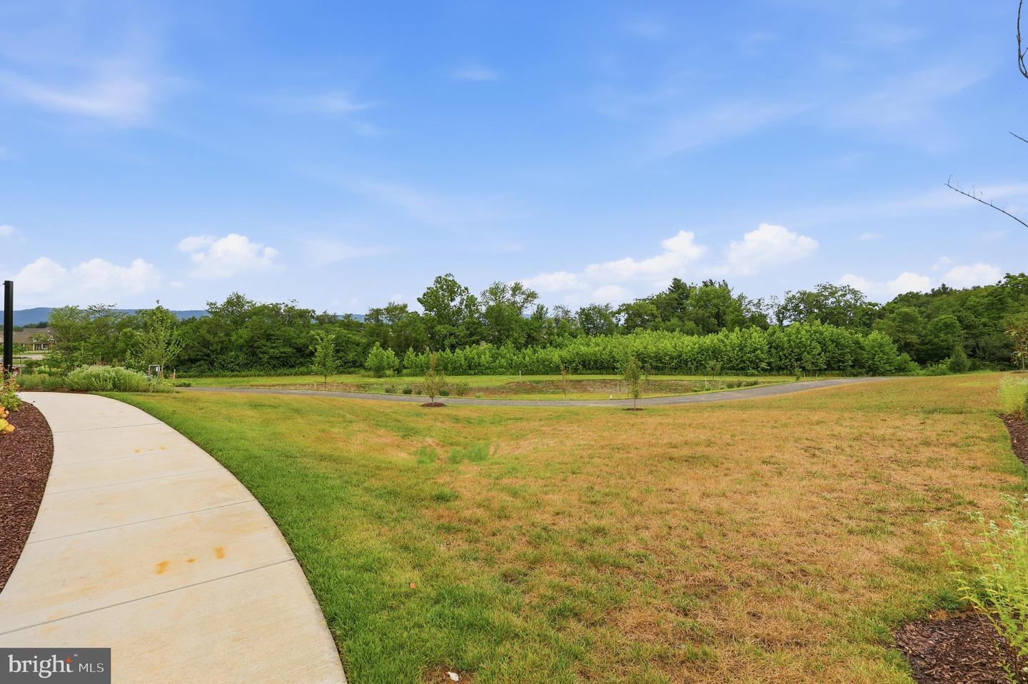 2605 Broadleaf Dr Property Photo 80