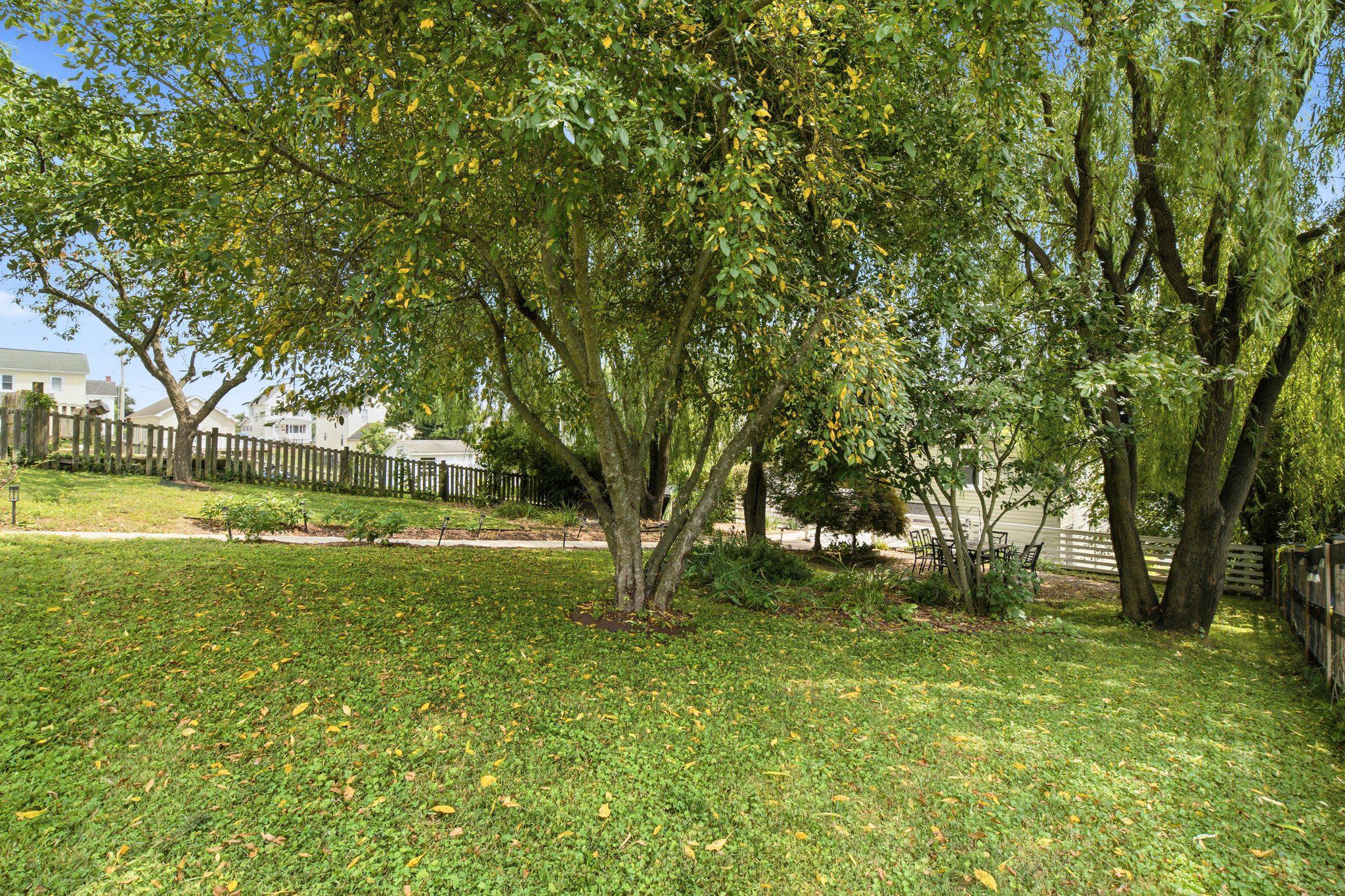 811 E B St Property Photo 43