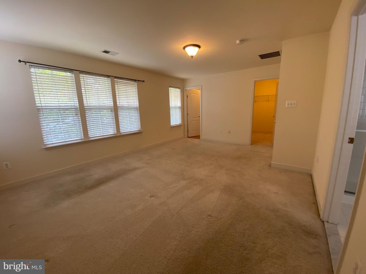 3858 Braveheart Dr Property Photo 17