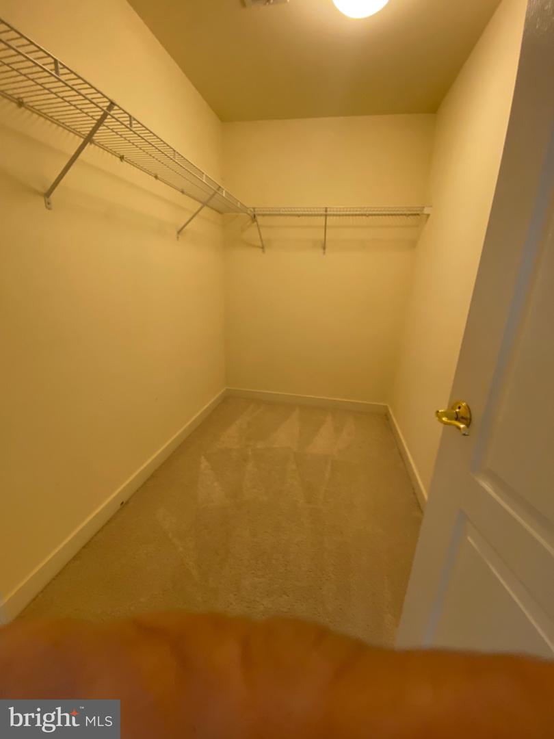 3858 Braveheart Dr Property Photo 21