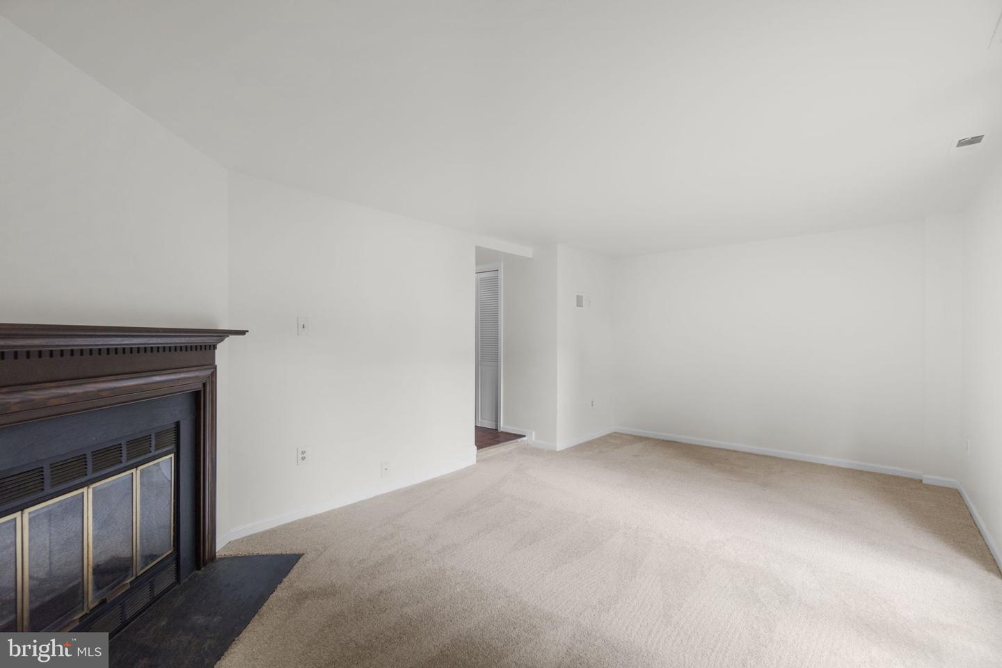 8039 Hollow Reed Ct Property Photo 29