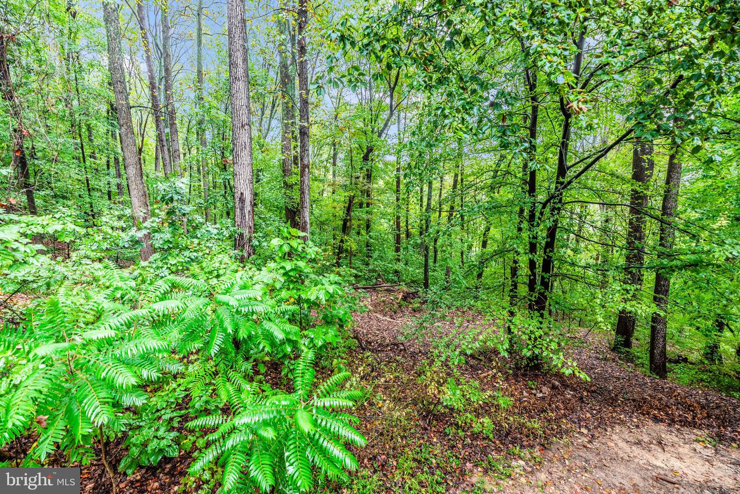 6838 Mountain Church Rd Property Photo 48