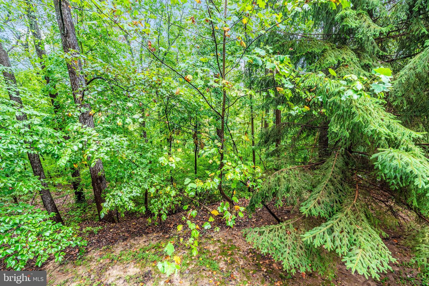 6838 Mountain Church Rd Property Photo 49