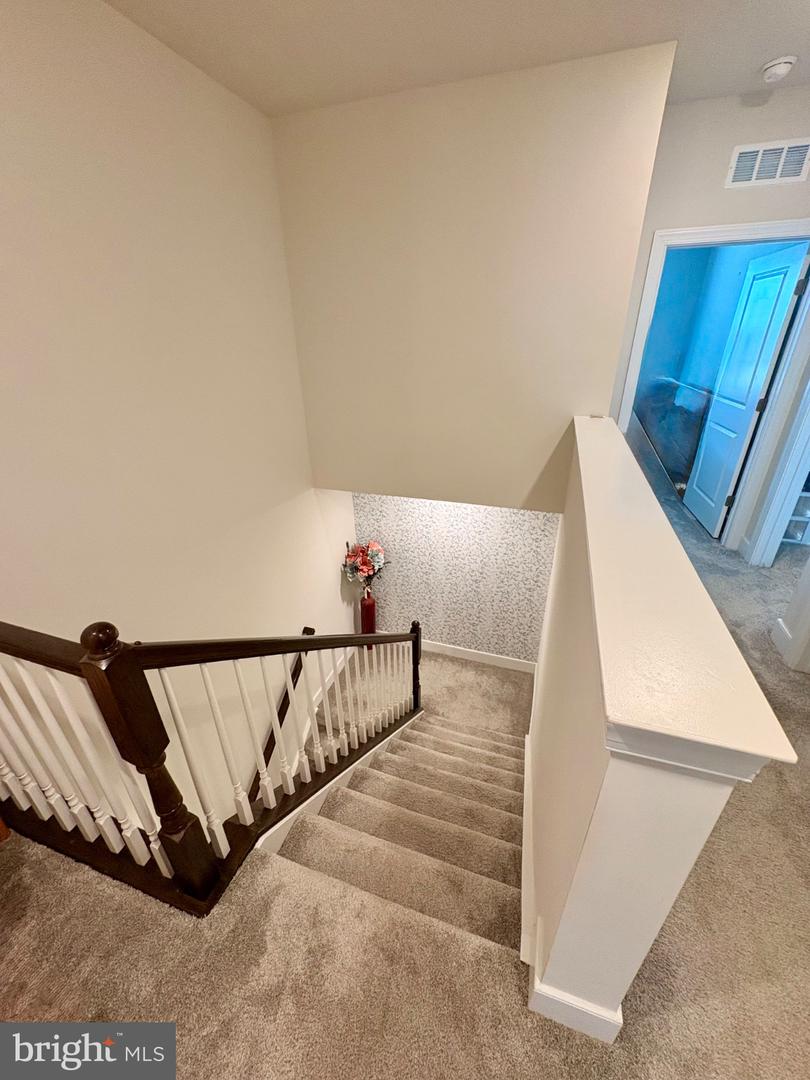 7135 Delegate Pl Property Photo 26