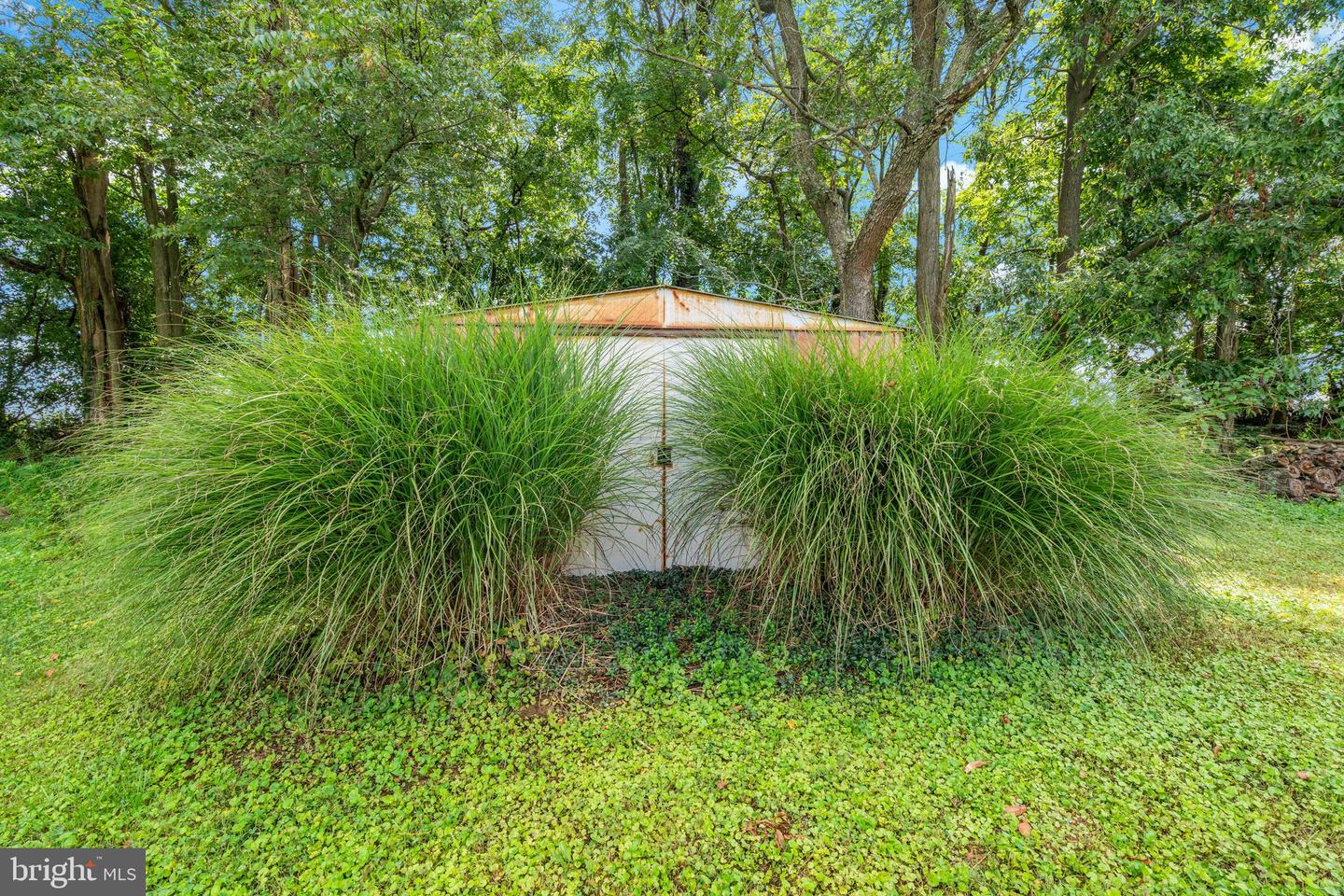 10225 Allview Dr Property Photo 35