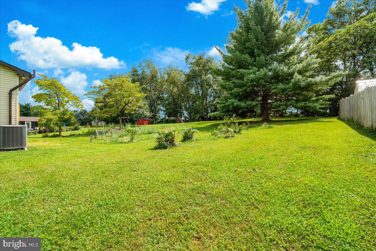 10225 Allview Dr Property Photo 36