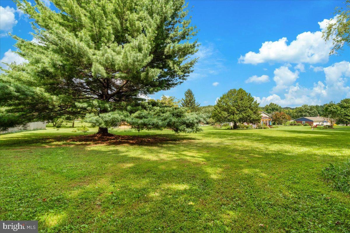 10225 Allview Dr Property Photo 37